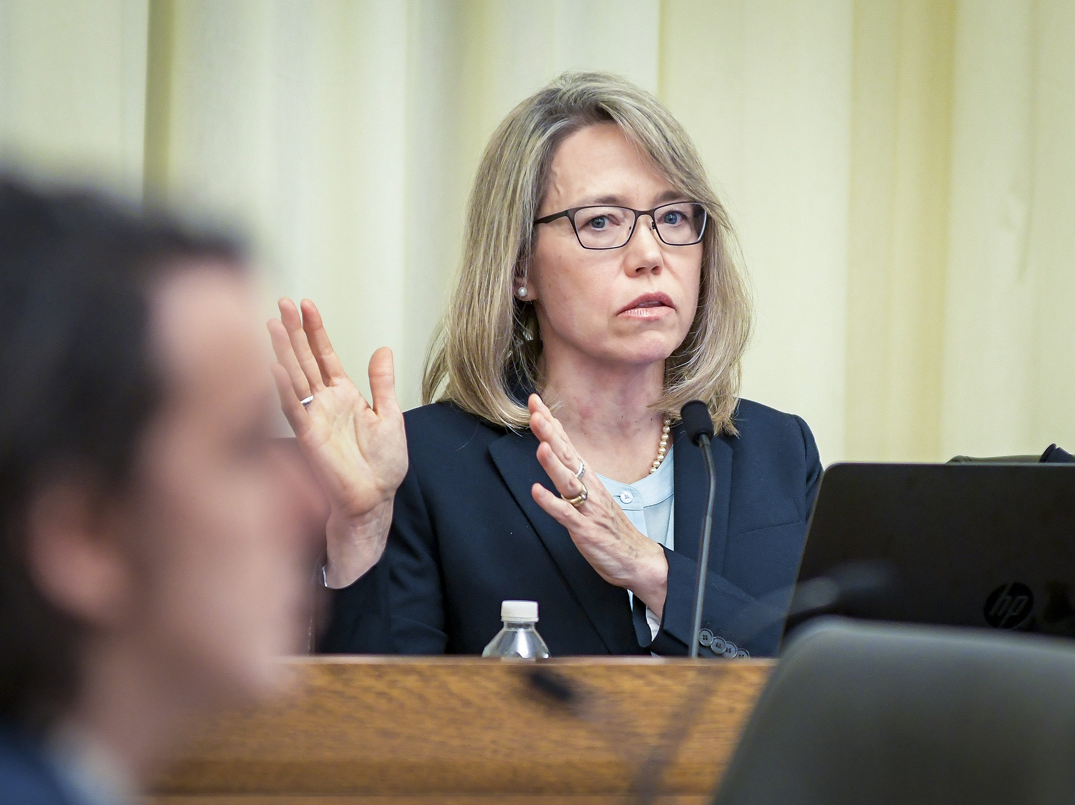 Susan Castellano, maternal and child health section manager with the Health Department, presents an overview of infant and maternal health mortality to the House Early Childhood Finance and Policy Division Jan. 17. Photo by Andrew VonBank